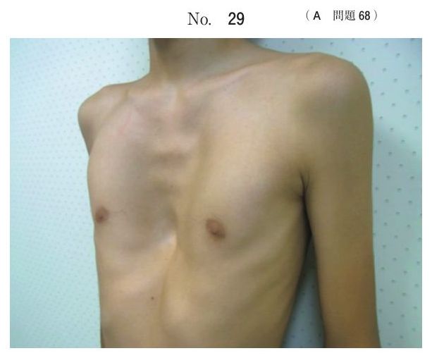 別冊 No.29