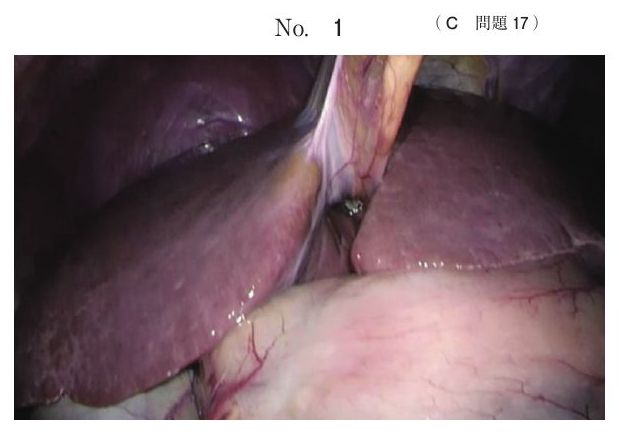 別冊 No.1