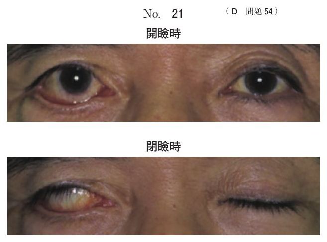 別冊 No.21