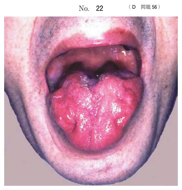 別冊 No.22