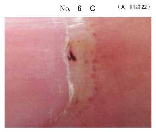 別冊 No.6 C