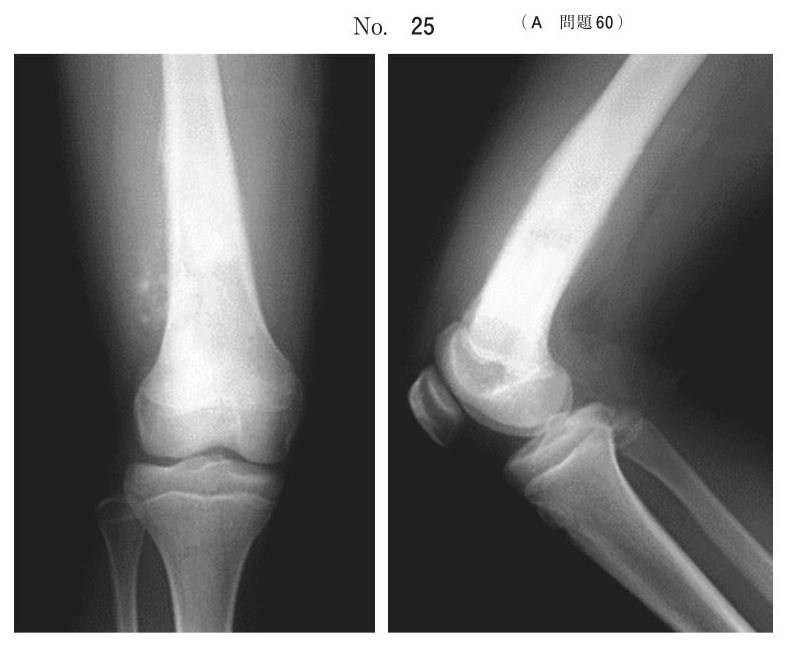 別冊 No.25