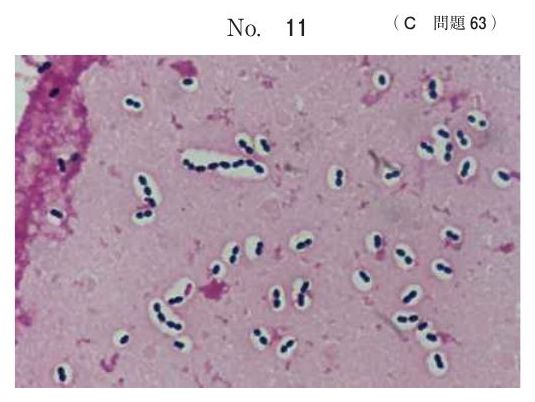 別冊 No.11