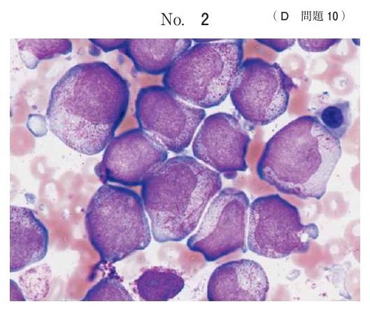 別冊 No.2