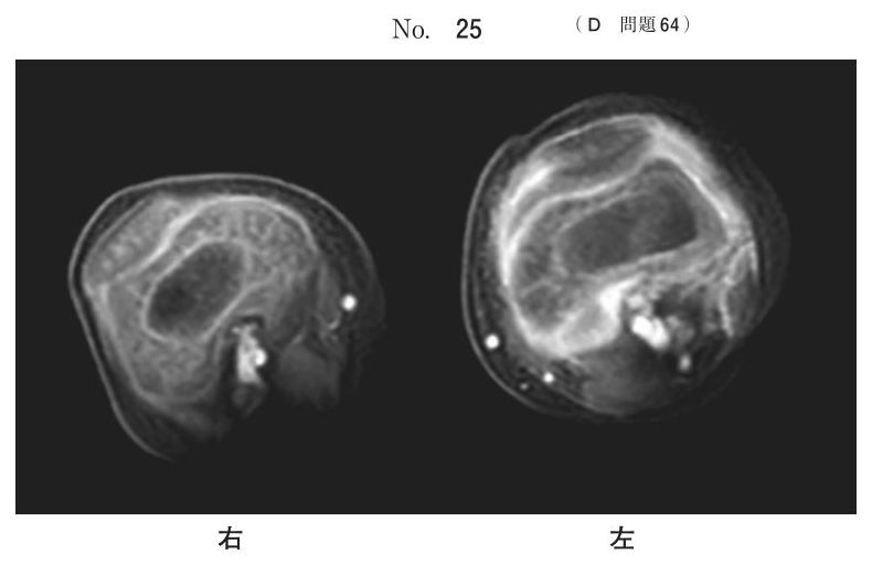 別冊 No.25