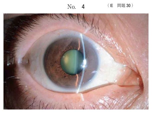 別冊 No.4