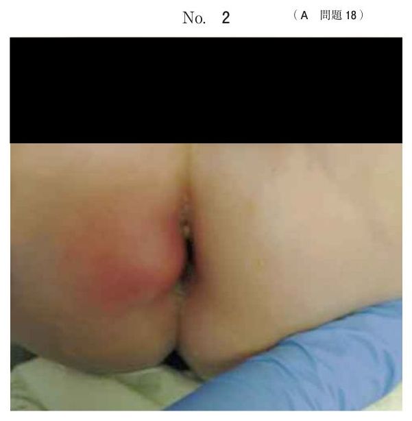 別冊 No.2