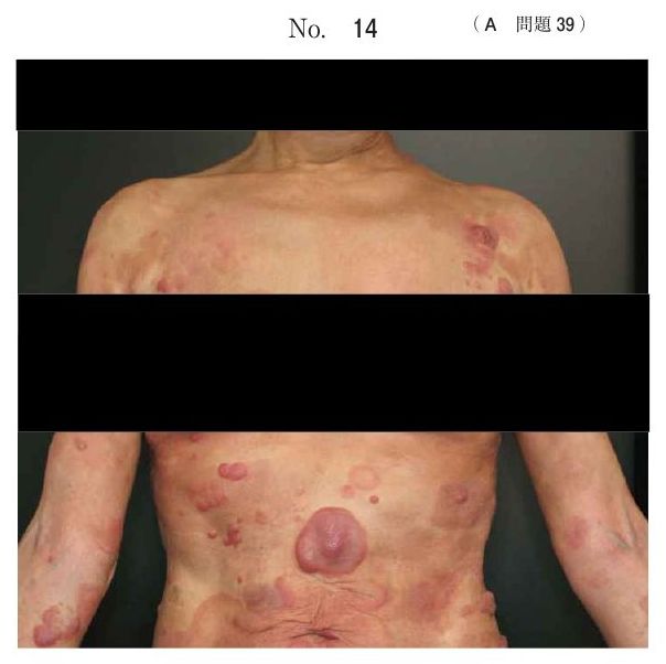 別冊 No.14