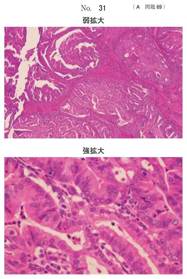 別冊 No.31