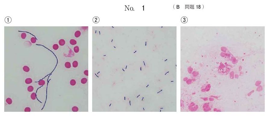 別冊 No.1（1/2）