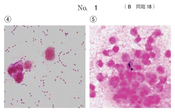 別冊 No.1（2/2）