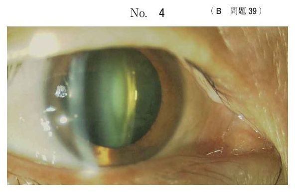 別冊 No.4