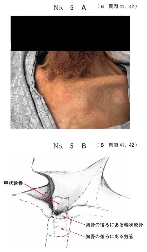 別冊 No.5 A・B