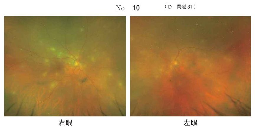 別冊 No.10