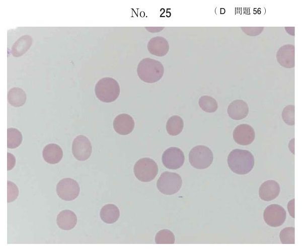 別冊 No.25