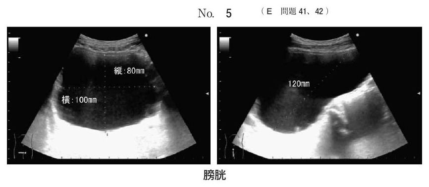 別冊 No.5（1/2）