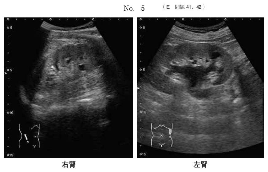 別冊 No.5（2/2）