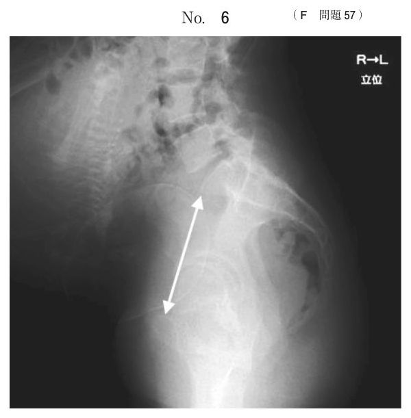 別冊 No.6